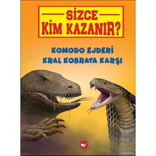 Defne Store Sizce Kim Kazanır? Komodo Ejderi Kral Kobraya Karşı
