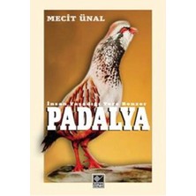 Defne Store Padalya