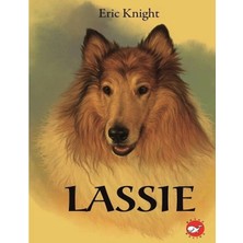 Defne Store Lassie