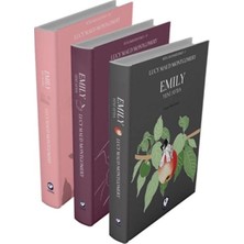 Defne Store Rüzgârın Kızı Emily Serisi (3 Kitap)
