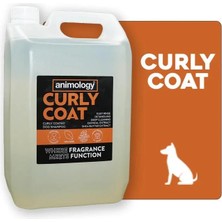 Animology Curly Coat Shampoo 5 Litre - ANI001-FG-00020