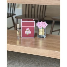 Marys Concept Miss Flora Tek Güllü Oda Kokusu Eskitme Pembe