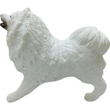 Colezium Köpekler - Samoyed Cinsi Köpek   - 1 Adet