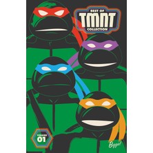 IDW Publishing Best Of Teenage Mutant Ninja Turtles Collection, Vol. 1