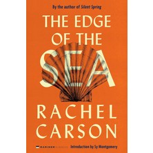 The Edge Of The Sea