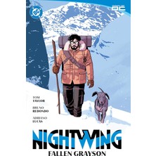 DC Comics Nightwing Vol. 7: Fallen Grayson
