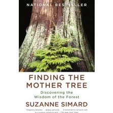 Vintage Finding The Mother Tree: Discovering The Wisdom Of The Forest