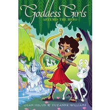 Aladdin Artemis The Hero (Volume 28)