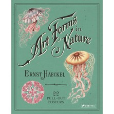 Prestel Ernst Haeckel: Art Forms In Nature: 22 Pull-Out Posters