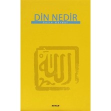 Defne Store Din Nedir