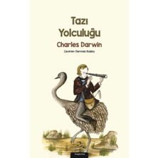 Defne Store Tazı Yolculuğu