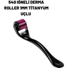 Alkasaz Ev Tipi Mikro Iğneli Cilt Bakım Aleti – 1 mm Titanyum Roller