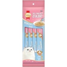 Die Grup Tavuklu Kedi Ödülü 4X15 gr Lezzetli Atıştırmalık