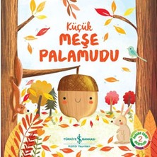 Alkasaz Küçük Meşe Palamudu - Doğanın Eşsiz Hikayeleri 2