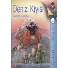 Alkasaz Çevir Bak Deniz Kıyısı