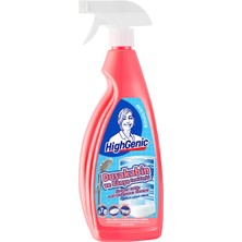 4 Adet   Highgenic Duşakabin Temizleyici 750 ml