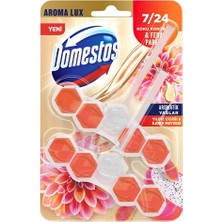 3 Adet  Domestos Wc Blok Yıldız Çiçeği ve Ejder Meyvesi Lux 2x5'li