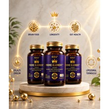O2U Enerji, Odak ve Bağırsak Desteği | Yorgunluk & Zihin Sisi İçin Lipozomal 90 Dilaltı Tablet | Prime Element