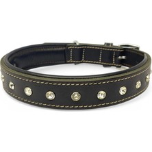 ‎Canini Collar Hakiki Deri Parlak Taşlı-Yapay Elmaslı Köpek Tasması, Yumuşak Deriden İç Kısım, Krom Toka ve Kanca