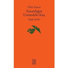 Yanardağın Üstündeki Kuş
