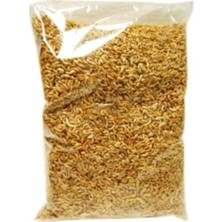 Maxisol 50 gr Kurutulmuş Karides Gammarus Yüksek Besin Değeri ile Sürüngen Sağlığı İçin
