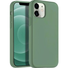 Desingshop Apple iPhone 12 Silikon Lansman Kılıf