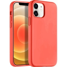 Desingshop Apple iPhone 12 Silikon Lansman Kılıf