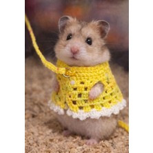 Hamster Örgü Elbise – Gezdirme Tasmalı Kemirgen Kıyafeti Sarı