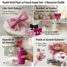 Derinify Stanley Quencher Uyumlu Kombin Seti - 4'lü Renkli Simli Tritan Pipet & 2'li Işıltılı Simli Fiyonk Silikon Pipet Kapağı (Temizleme Fırçası Hediyeli)