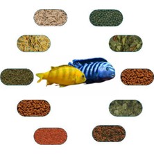 Yemkolik Saulosi Coral Red Özel Balık Yem Paketi 50 Gr/ad (6 Çeşit)
