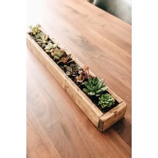 Empressco Uzun Ahşap Saksı, 50X8X8 Cm, Doğal ve Şık Tasarım
