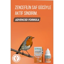 Mixtura Pharma Bird Vınager - Gınger