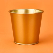 Empressco Gold Paslanmaz Saksı 12X10 Cm, Şık ve Dayanıklı Bahçe ve Iç Mekan Dekoru