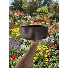 Empressco Modern Roma Tarzı Gümüş Detaylı Koyu Kakao Taş Saksı 21X10