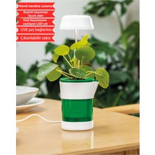 Empressco Akıllı Bitki Saksısı, Otomatik Sulama, LED Işık, USB Şarjlı, Hızlı Yetişme