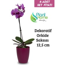 Empressco Vişne Orkide Saksısı Seti, 12'li, Şık ve Kaliteli Dekoratif Saksılar