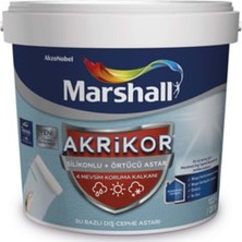 Marshall Akrikor Silikonlu + Örtücü Astar 10KG