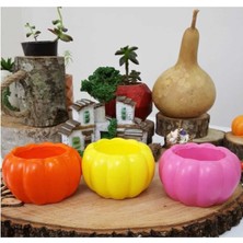 Empressco El Yapımı Kaktüs ve Succulentler Için 3'lü Set, Doğal ve Şık Tasarım