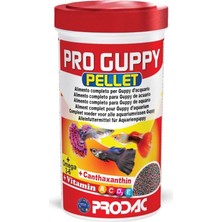 Prodac Pro Guppy Pellet 250ML / 125GR