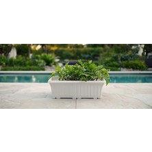 Empressco Dikdörtgen Balkon Saksısı, 41X16 Cm, Bahçe ve Balkon Dekorasyonu