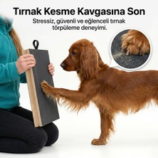 Kedikür™ | Köpekür Köpekler Için Tırnak Törpüleyen Tırmalama ve Eğitim Tahtası