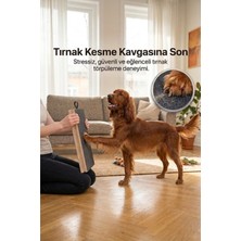Reyo Köpekür Köpekler Için Tırnak Törpüleyen Tırmalama ve Eğitim Tahtası