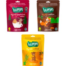 Humm Organic Organik Vegan Zencefilli Keçiboynuzlu Ballı Kinoalı Kurabiyeler Atıştırmalık Paketi - 3 Adet (3 Çeşit)