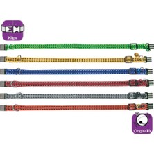 Pazarcan Tasma Çing. 25-35CM Karişik Renkli