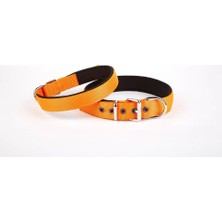 Pazarcan Softlu Boyun Tasması 3 cm x 55 cm Tcu