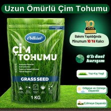 Ebitkisel Çok Yıllık Çim Tohumu 1 kg Uzun Ömürlü 6'lı Karışım Gölge ve Aşırı Güneşli Alan Uygun Yetiştirilmesi Kolay 4 Mevsim Yeşil