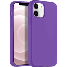 Desingshop Apple iPhone 12 Silikon Lansman Kılıf