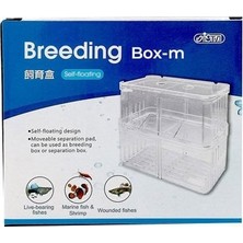 Ista Breeding Box-M Yavruluk