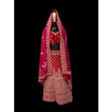 Aashiv's Collection Lehenga