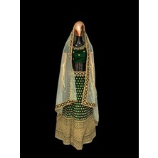 Aashiv's Collection Lehenga